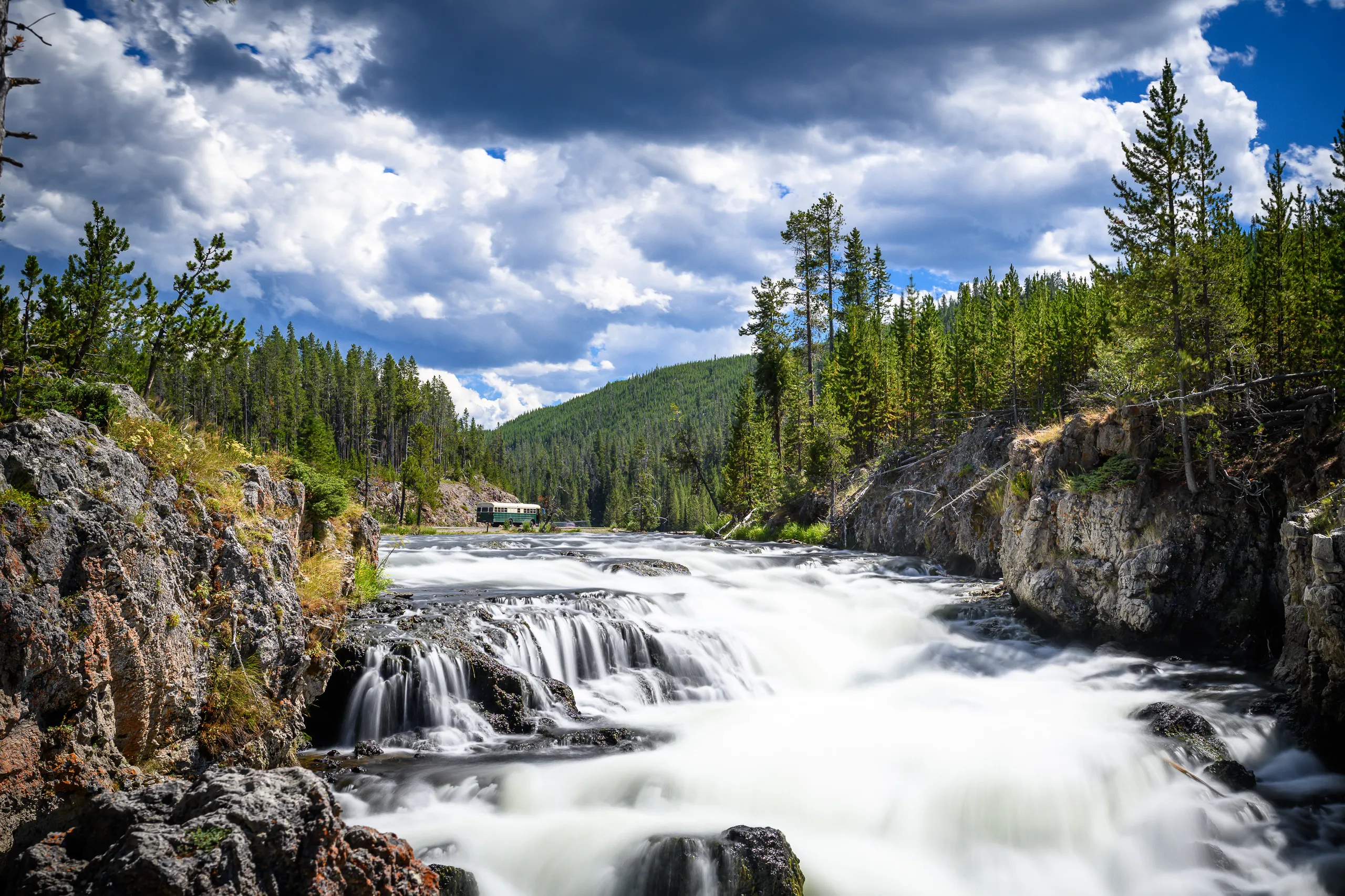 Mountain stream flowing between rocks and conifer trees