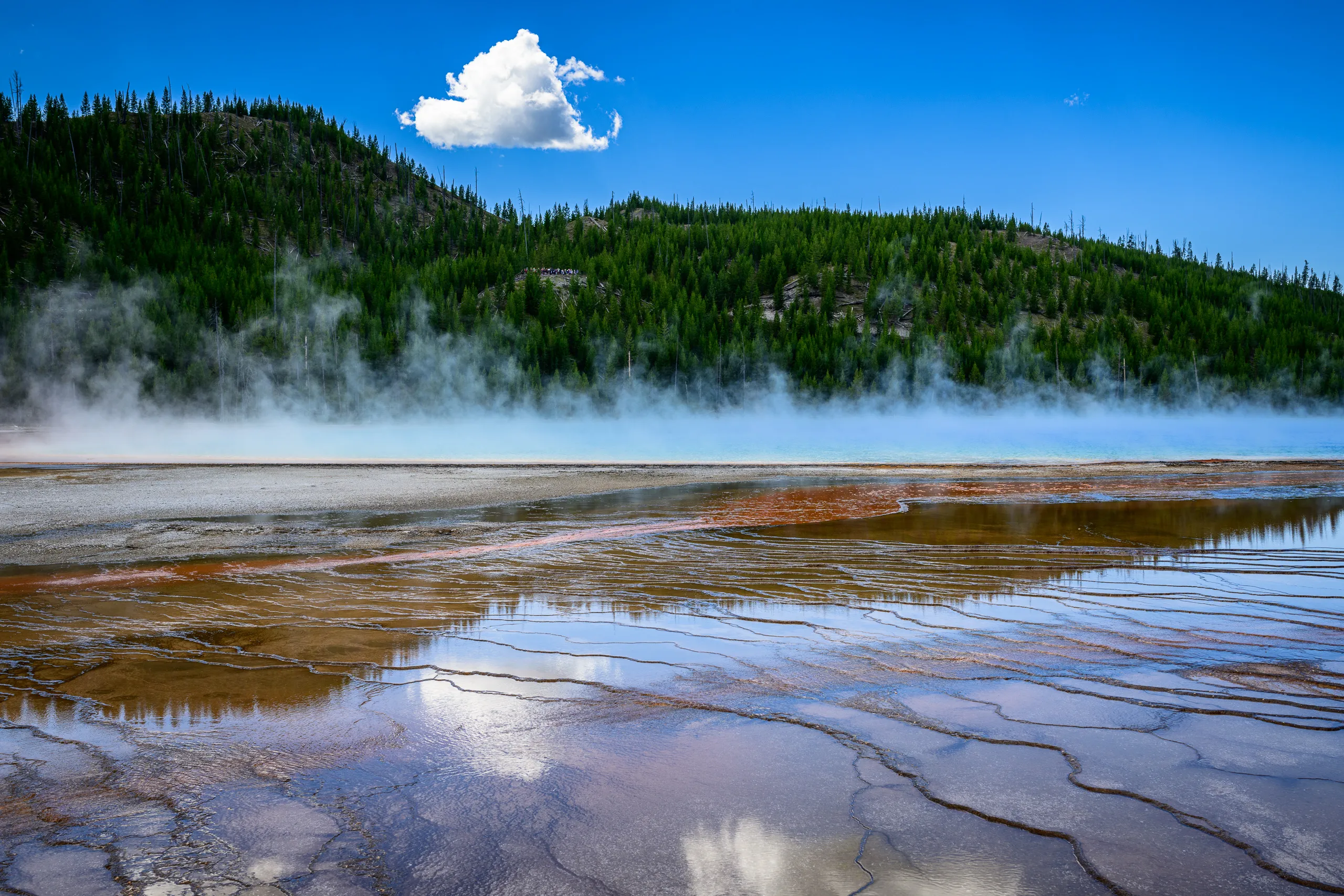 Colourful pool surrounded by vegetation and steam