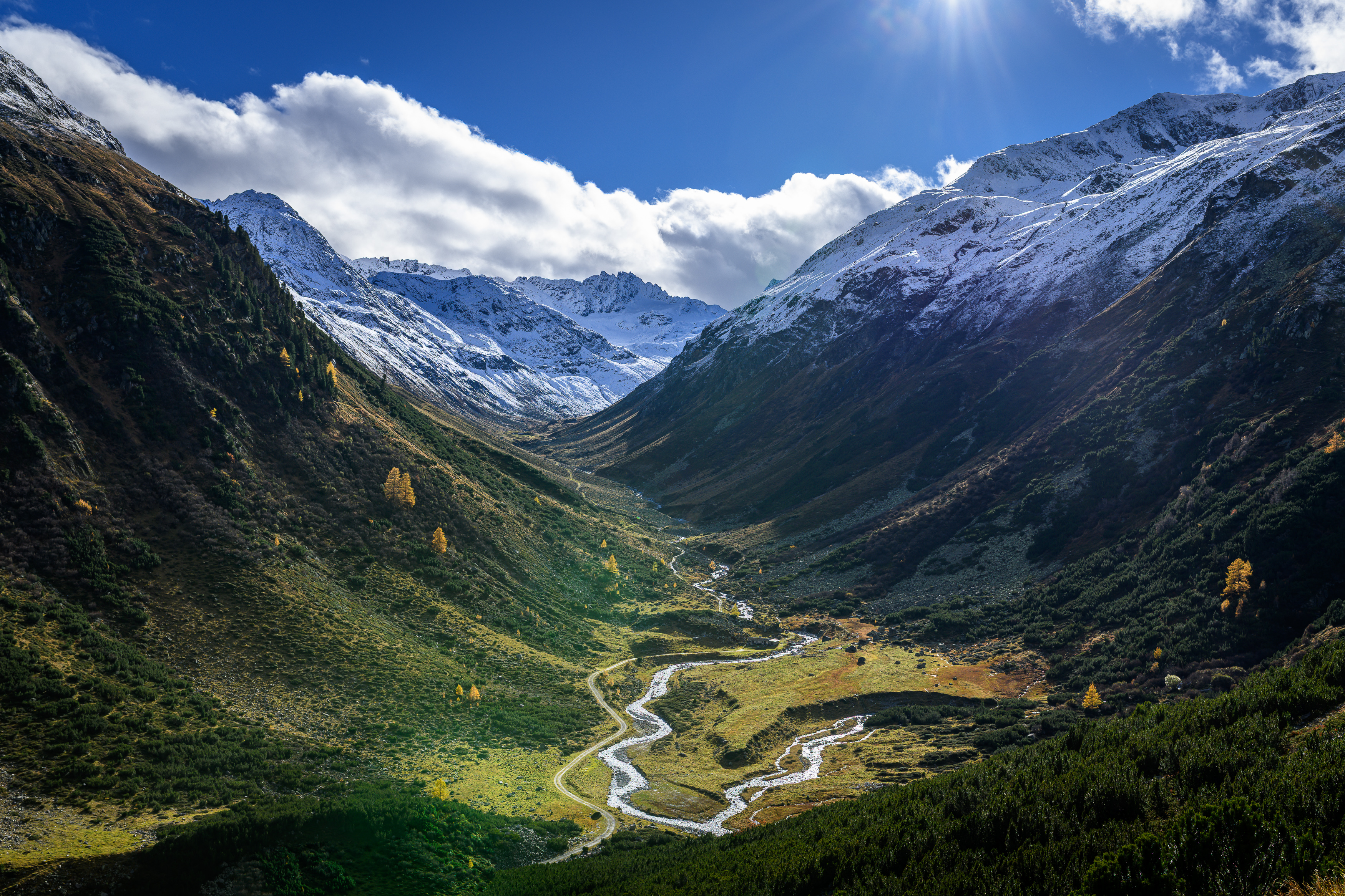 Engadine