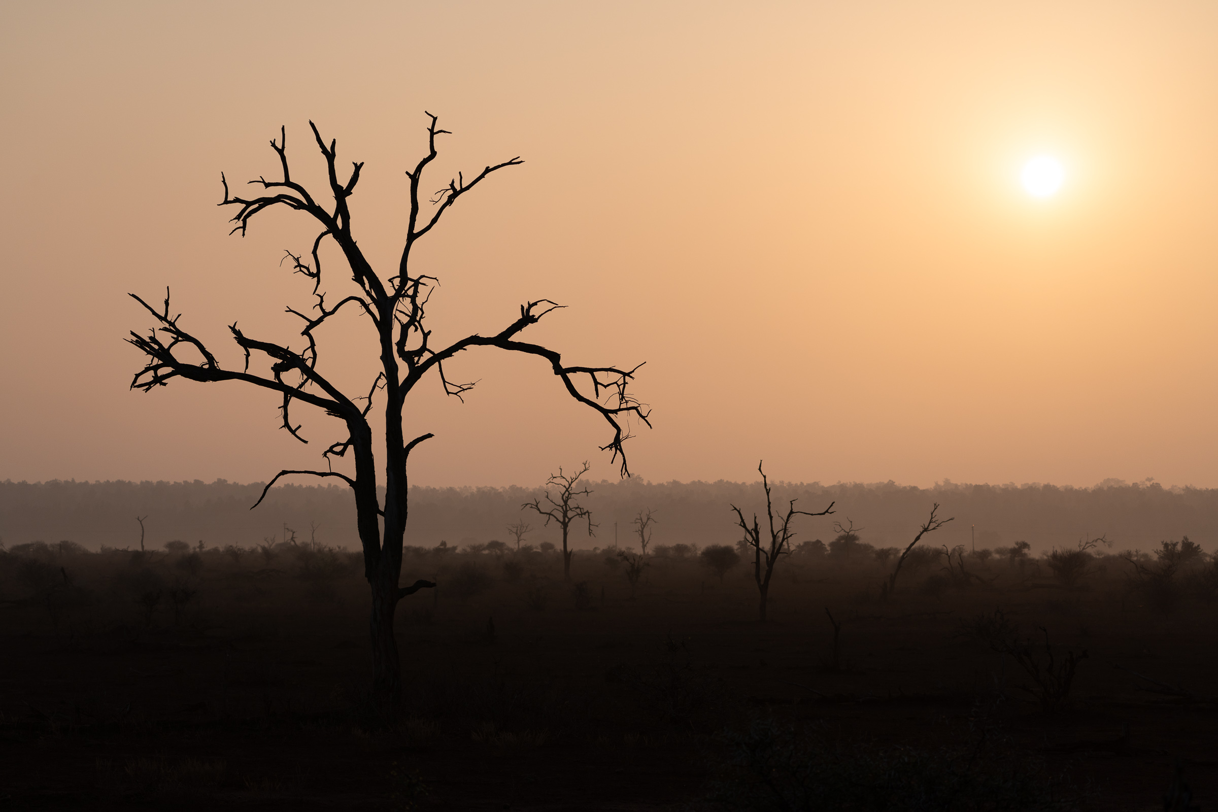 South Africa