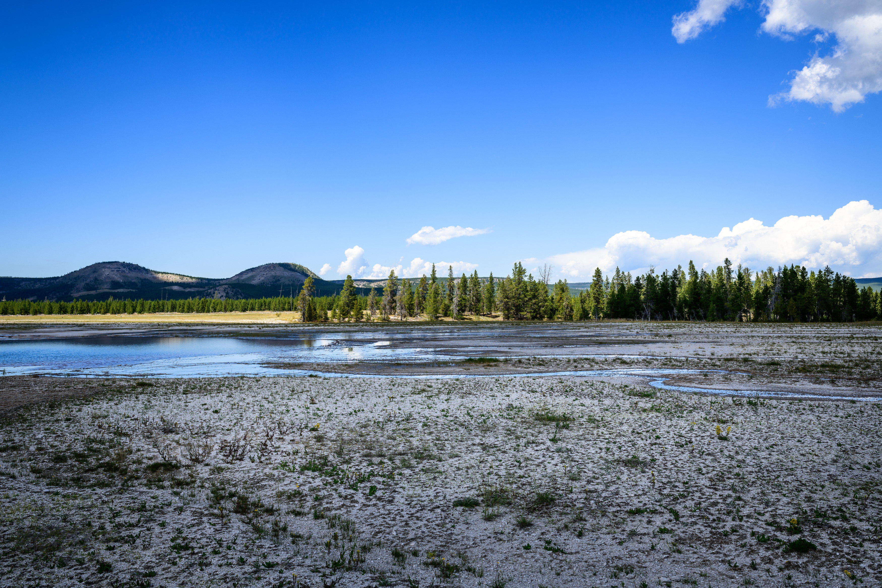 Yellowstone